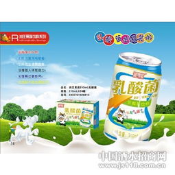 潤莊食品310ml乳酸菌 性價(jià)比之選與組合裝探秘